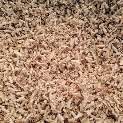 copeaux de bois